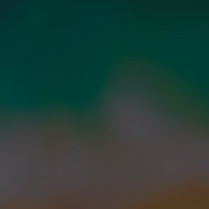 Meet your Posher, Antonio